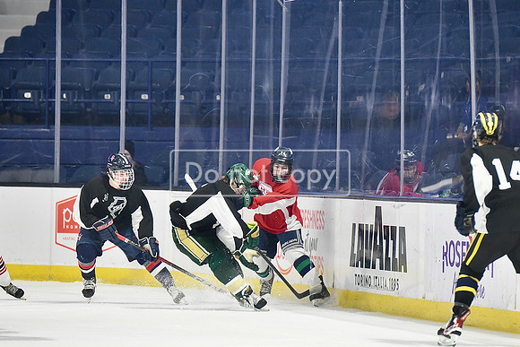 DSC_8536