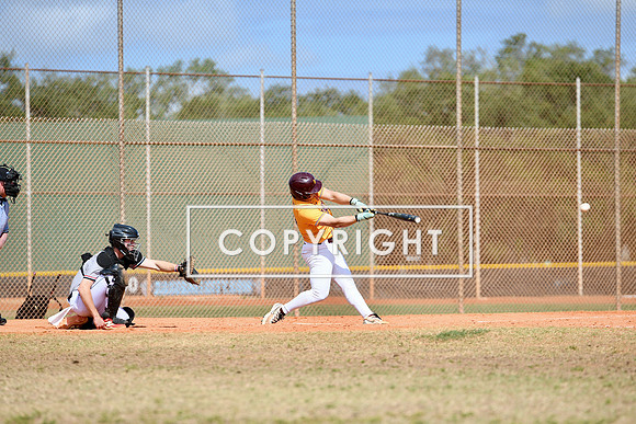 DSC_3167