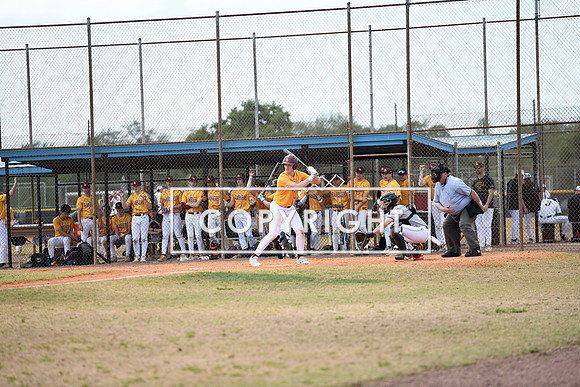DSC_3778