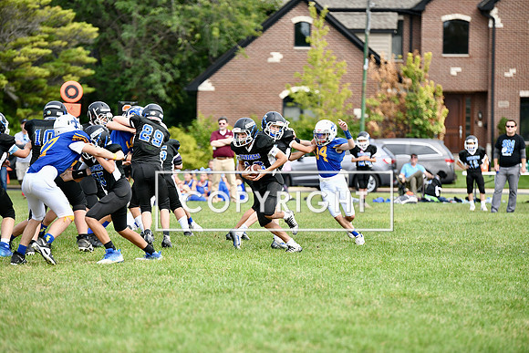 2FE26A11-6A9B-4378-9623-652FC16977AD_1_201_a