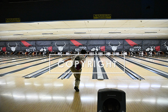 DSC_0347