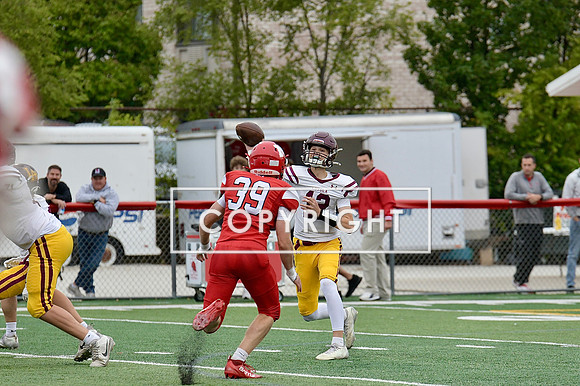 DSC_1599