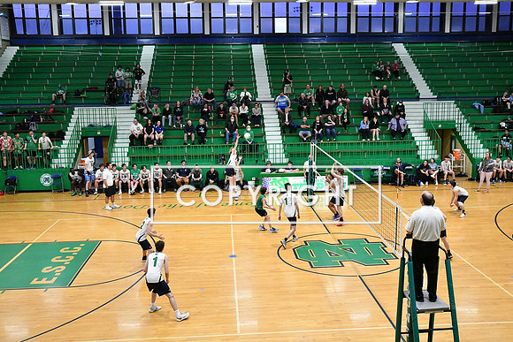 84091E17-C3B7-4A03-8DBA-5379EC8CBFA3_1_201_a