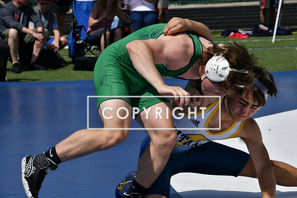 DSC_3496