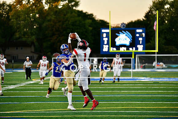 DSC_3183