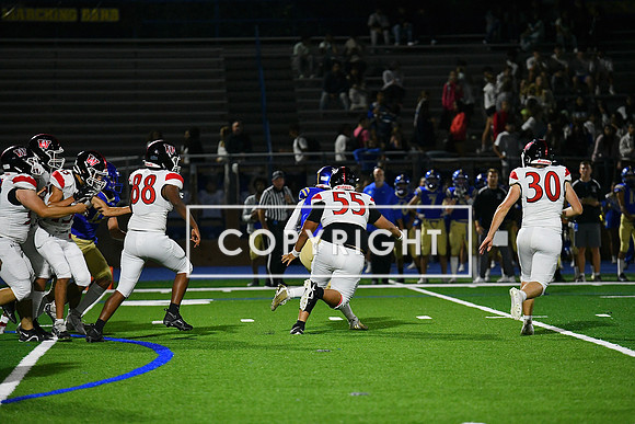 DSC_3913