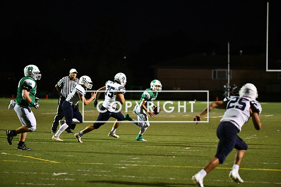 393D2588-1E19-4622-9919-FB9A927524E3_1_201_a