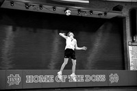2024 Volleyball