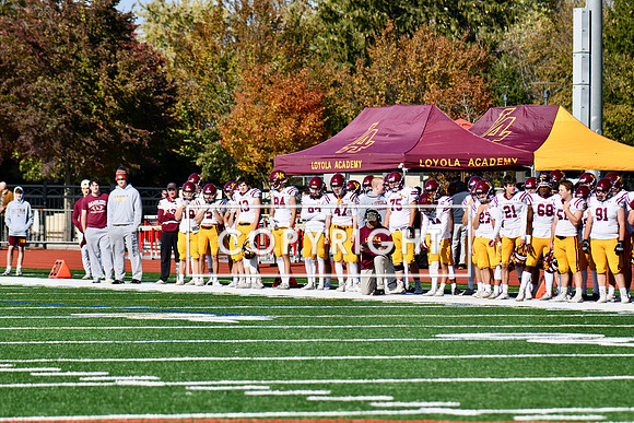 D96CD941-E1AB-478E-A0B9-21BF7BC884B5_1_201_a