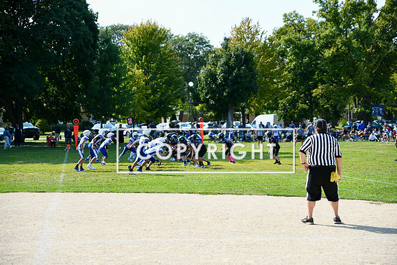 DSC_3387