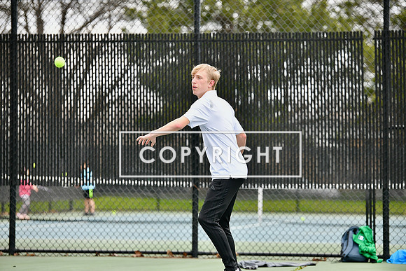 DSC_9517